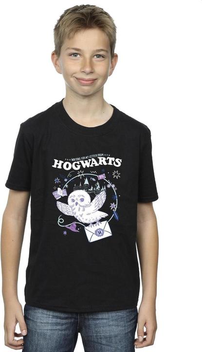 Actual product image Boys Owl Letter From Hogwarts T-Shirt (140, 146)