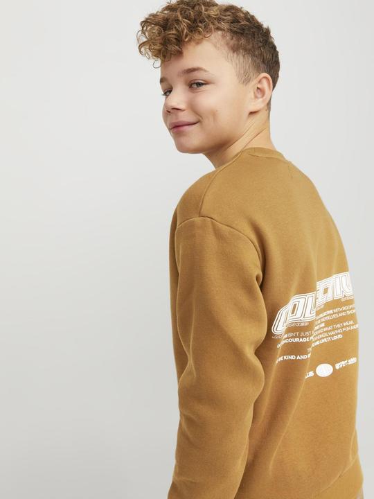 Actual product image Jack & Jones Jorcollect Edt Loose Sweat Crew Jnr (140)