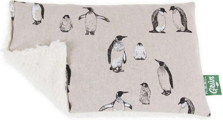 Produktbild Himmelgrün Kirschkernkissen 30x20cm Pinguin (30 x 20 cm)