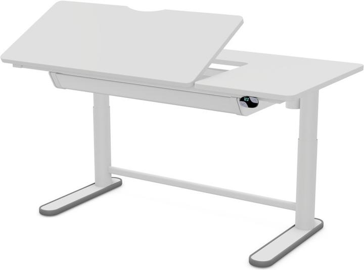 Lifetime Kidsrooms Schreibtisch Ergo Left-Up (120 x 60 x 89 cm)