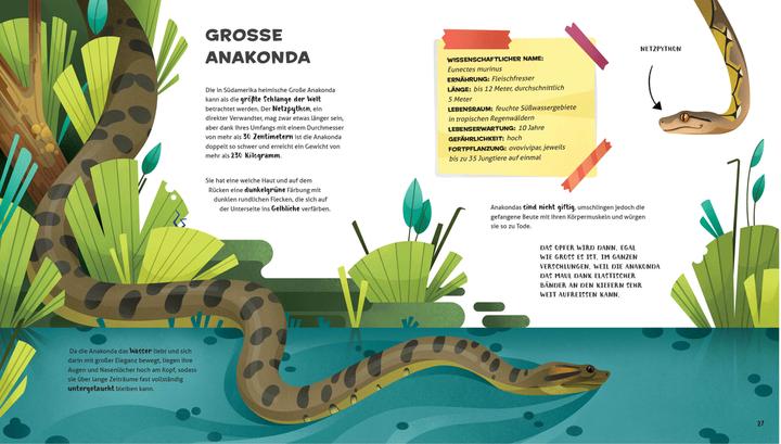 Actual product image National Geographic Besonders und wunderbar: Reptilien (German, Cristina Banfi, Claudia Theis-Passaro, 2021)