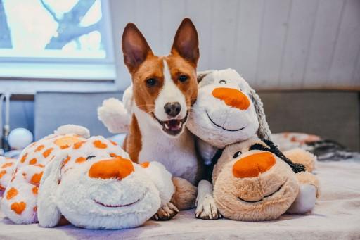 Image du produit Beeztees Jouet en peluche Suki (Jouet en peluche chien)