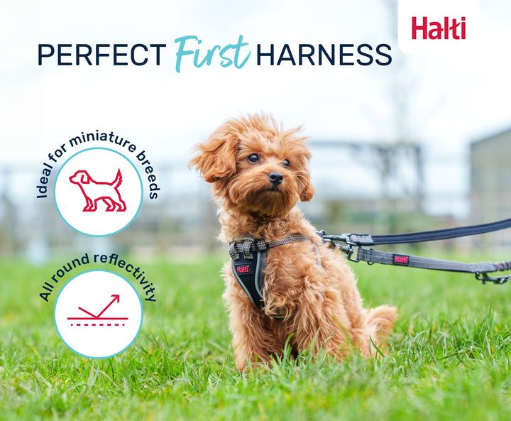 Actual product image Company of Animals Halti Anatomy XXS puppy harness (XXS, Dog)