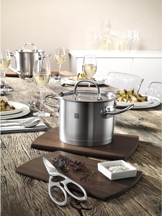 Image du produit Zwilling twin select (20 cm)