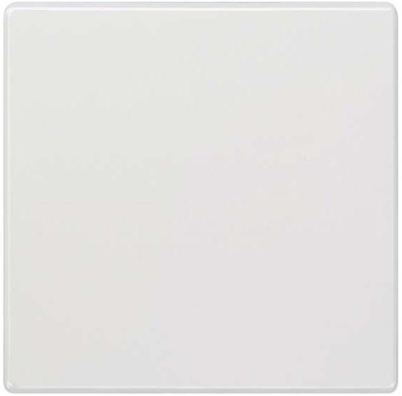 Actual product image Siemens 5TG7141 DELTA style rocker ** for universal switch changeover/off 68x6