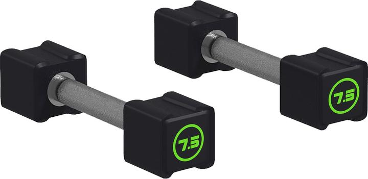 SportNow Dumbbells in a set of 2 with 7.5 kg each (2 x 7.5 kg)