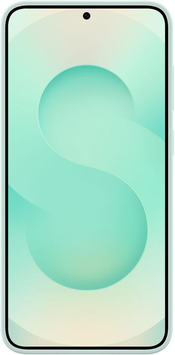 Image du produit Samsung Silicone Case (Samsung Galaxy S25+)