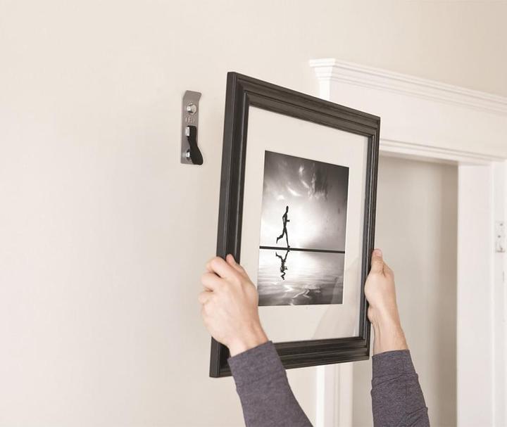 Actual product image TRX Invizi-Mount