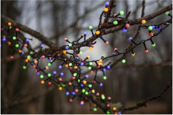 Produktbild Star Trading Lichterkette Berry Mini (14 m)