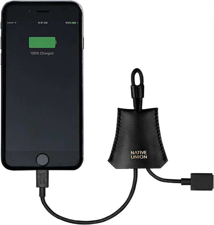Native Union Jour Cable (0.10 m, USB 2.0)