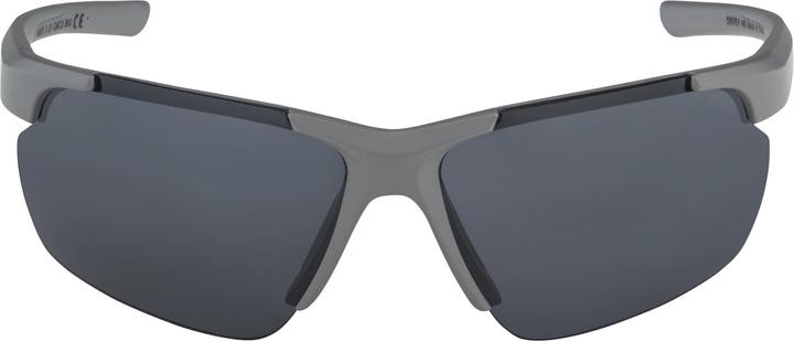 Image du produit ALPINA SPORTS Defey HR (Moon-grey matt, Argent)