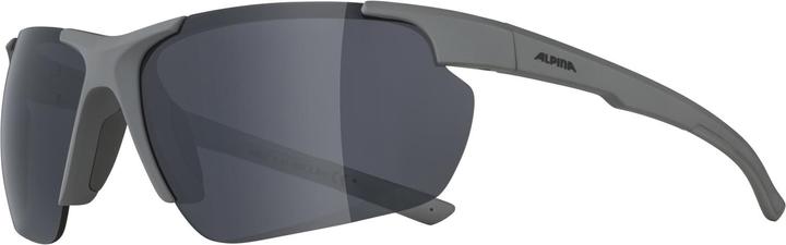 Image du produit ALPINA SPORTS Defey HR (Moon-grey matt, Argent)