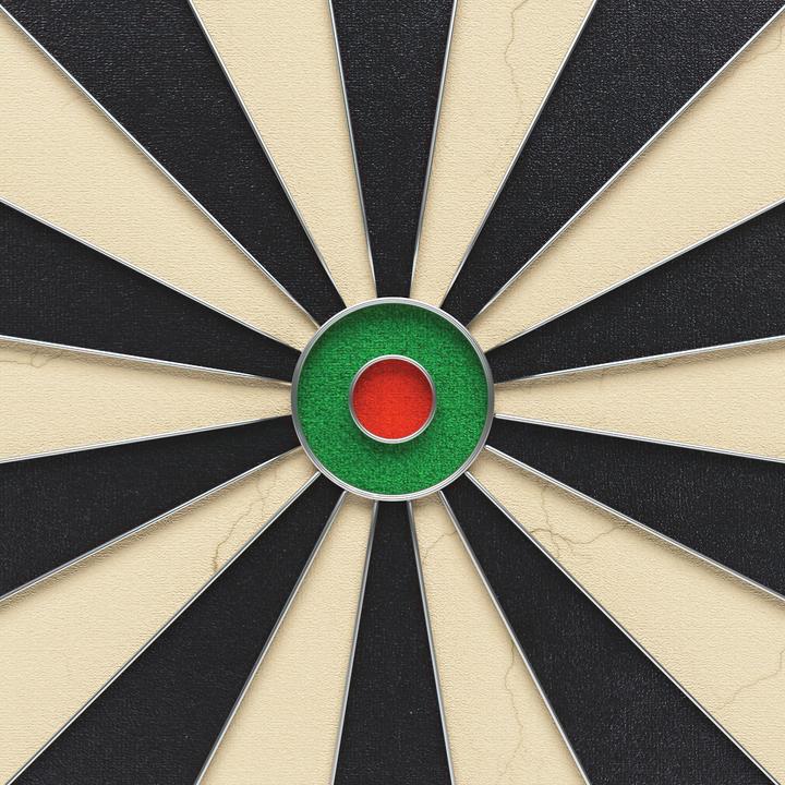 Produktbild Kings Dart Dartscheibe Professional HD