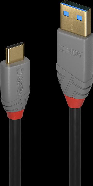 Immagine prodotto Lindy Anthra Line (1.50 m, USB 3.1)