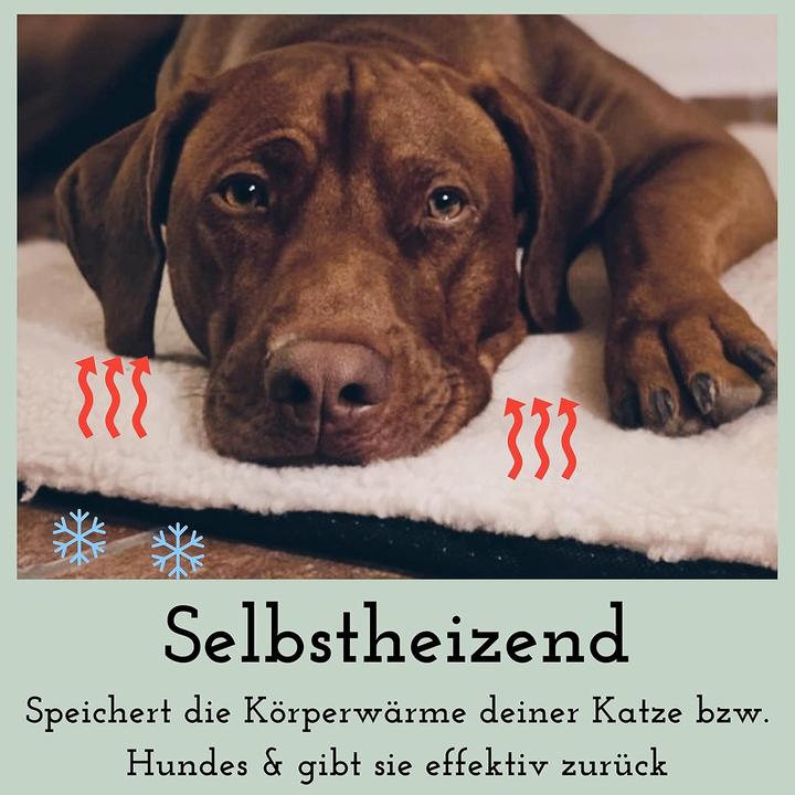 Image du produit Fellou Selbstheizende Katzendecke (Chat, Petit animal, Chien)