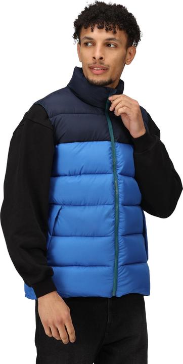 Actual product image Regatta Mens Vintage Colour Block Gilet (XL)