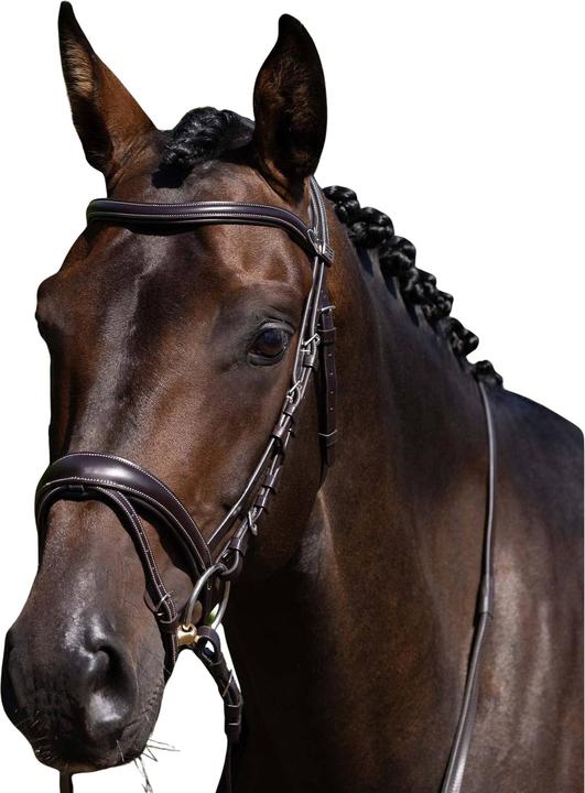 Produktbild Premier Equine Cassano