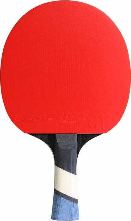 Actual product image Cornilleau Perform 500