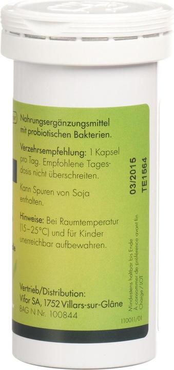 Nährwerte und Zutaten Vitafor Probi-intestis (40 Stück, Kapseln, 54 g)