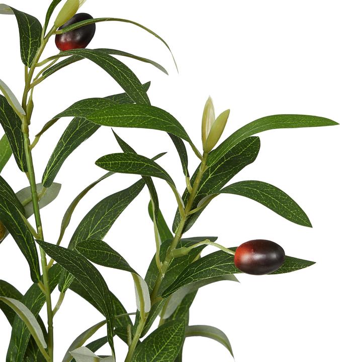 Actual product image Relaxdays Olive tree (150 cm)