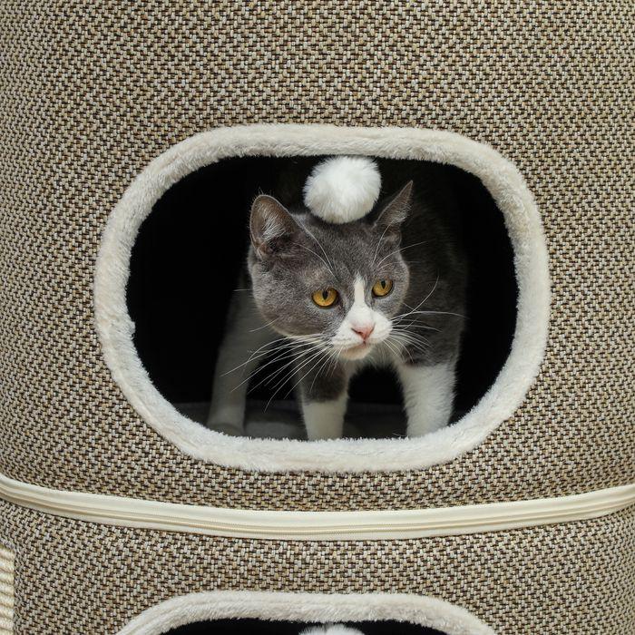 Actual product image Swisshandel24 Kratztonne, 69 cm hoch Katzentonne mit 2 Höhle, Kratzbaum für Katze bis 6 kg (69 cm, Coffee brown+cream white)