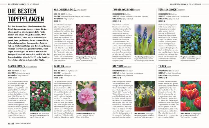 Produktbild Grünes Gartenwissen. Gärtnern mit wenig Aufwand (Deutsch, Zia Allaway, DK Verlag, Reinhard Ferstl, 2024)