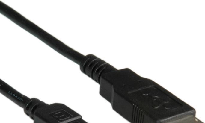Immagine prodotto Roline Cavo USB 2.0 (0.80 m, USB 2.0)