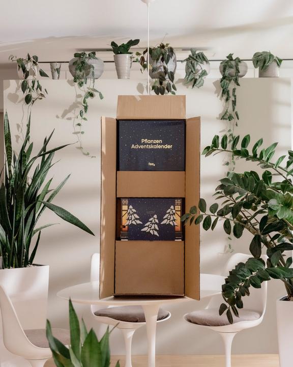 Produktbild feey Pflanzen Adventskalender (60 cm)