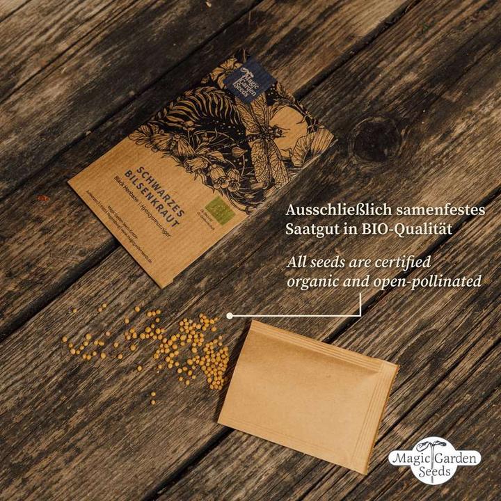 Produktbild Magic Garden Seeds Bio-Saatgut-Wilder Blütenrausch