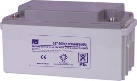Rs Pro Batterie au plomb 12V 65Ah (12 V, 65000 mAh)