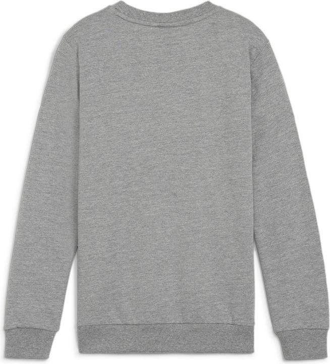 Actual product image Puma teamGOAL Casuals Crew Neck Sweat Jr (116)
