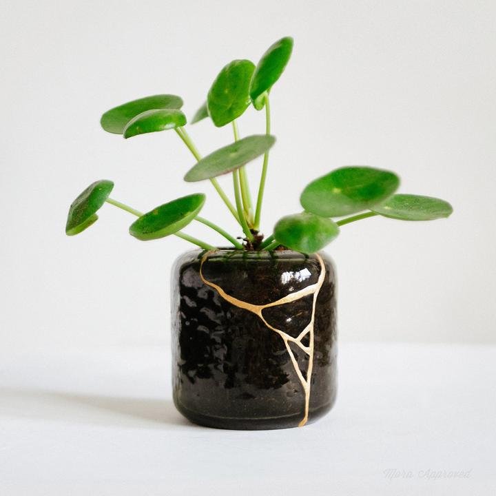 Immagine prodotto Mora Approved Kit di riparazione Kintsugi fai da te