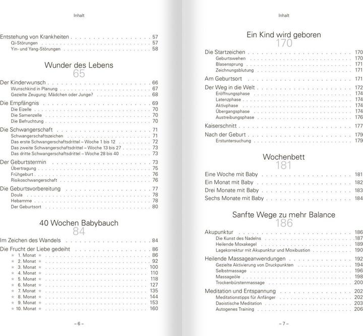 Actual product image TCM für Schwangerschaft, Geburt und Stillzeit (German, Dr. Natalie Lauer, Prof. TCM Univ. Yunnan Li Wu, 2021)