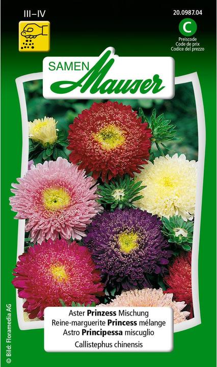 Produktbild Samen Mauser Aster Prinzess, Mischung (Pflanzensamen)