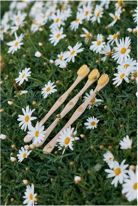 Actual product image Liebwerk Wooden toothbrush Ricine Pine (Medium, 1 x)