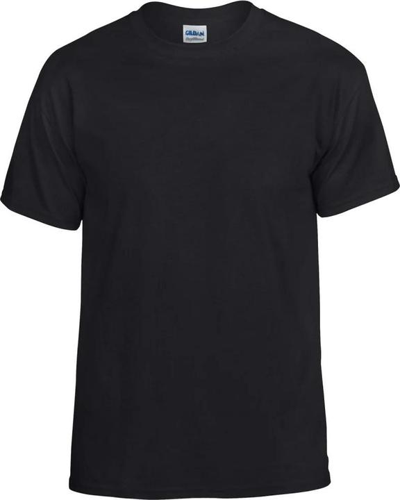 Gildan TShirt (S)