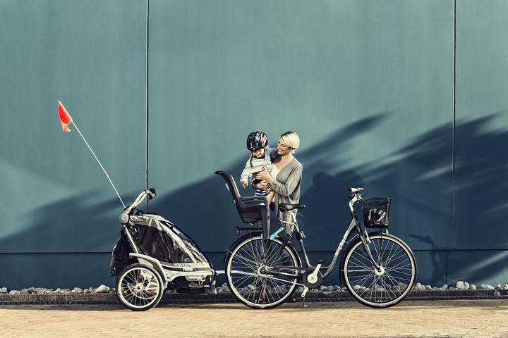 Actual product image Thule RideAlong Lite (Seat tube)