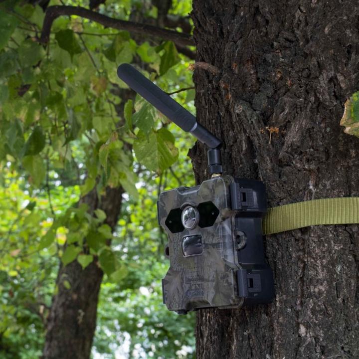 Produktbild Technaxx TX-189 -Überwachungskamera zur Wildbeobachtung inkl. Solarpanel