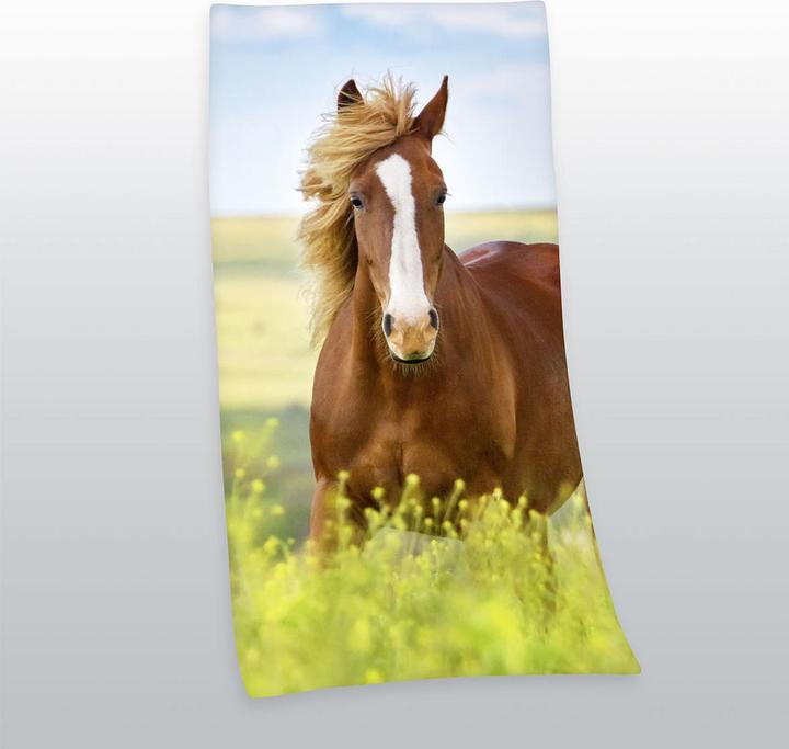 Herding Horse (75 x 150 cm)