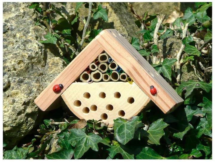 Produktbild Wildlife World Minibug (Wildbienen, Marienkäfer)