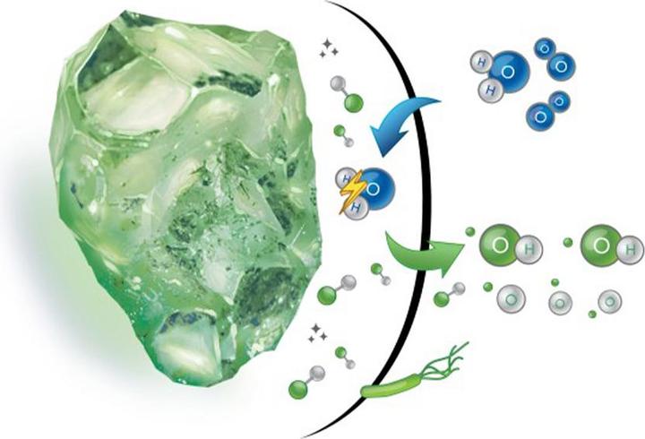 Immagine prodotto Dryden Aqua AFM-NG Grano 3