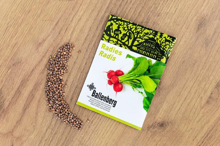 Actual product image Zollinger Bio Radies, Saxa (Ballenberg Edition)