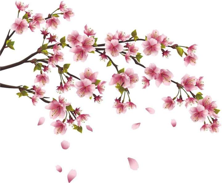 Produktbild Trenddeko Kirschblütenzweig (140 x 65 cm)