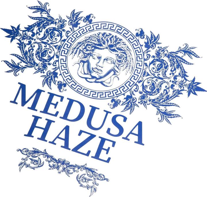 Immagine prodotto Tealer maglietta medusa (XS)