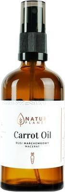 NoName NATUR PLANET Olej marchewkowy 100ml (Körperlotion, 100 ml)