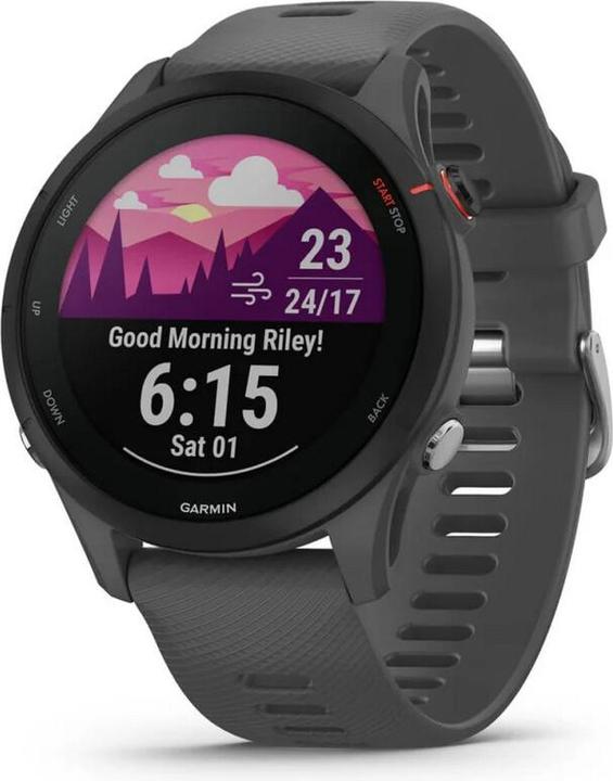 Garmin Forerunner 255 Slate Grey (47 mm)
