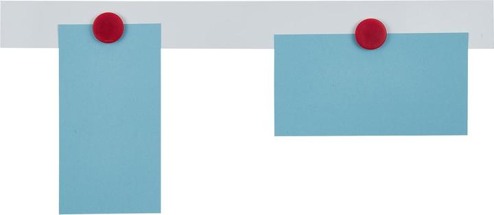 Immagine prodotto Franken Barra magnetica (10 x)