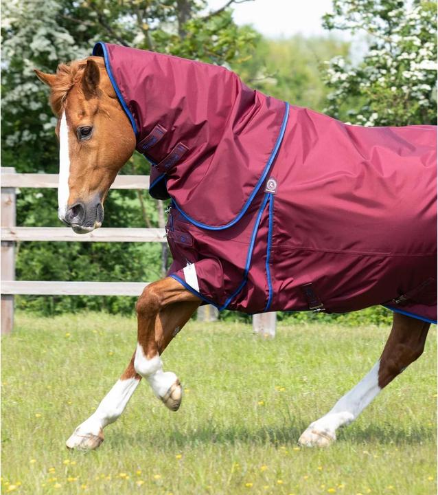 Actual product image Premier Equine Buster 40g (198 cm)