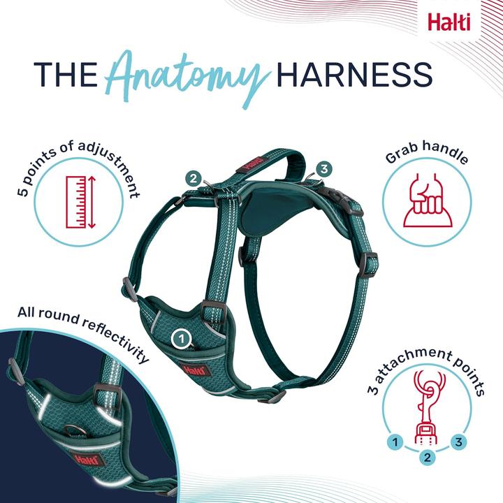 Produktbild Company of Animals Halti Anatomy XL Hundegeschirr (XL, Hund, Allgemein)