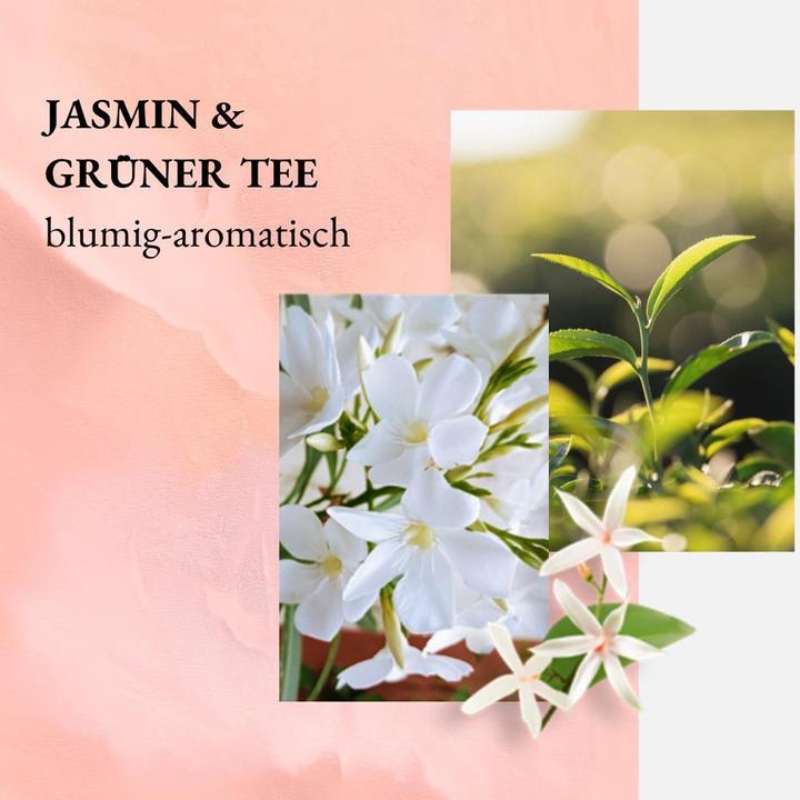 Image du produit we:care2 Nachfüllbeutel Duschgel, Jasmin-Grüner Tee (500 ml)